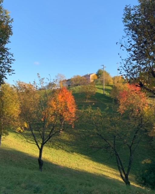 La Corte Di Cesio Monfumo Exteriör bild